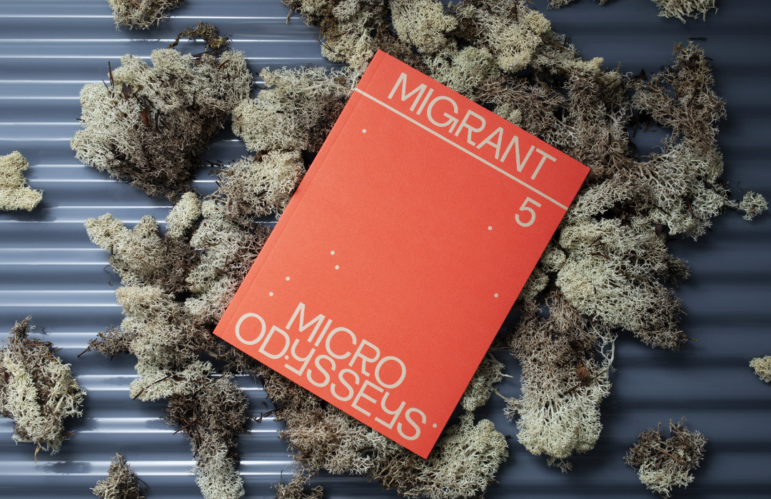 Migrant Journal, Issue 5, « Micro Odysseys » ©Migrant Journal Press
